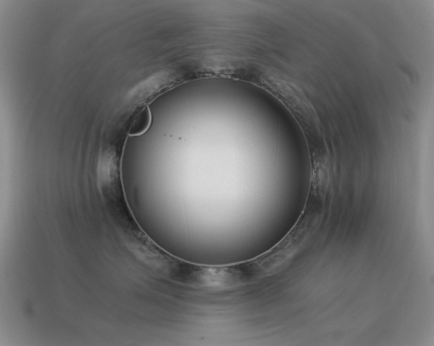X0000115500623200911061328
