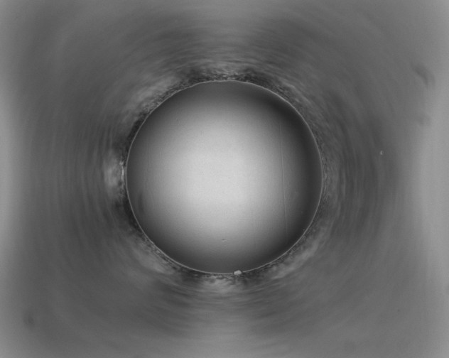 X0000115500624200911061328