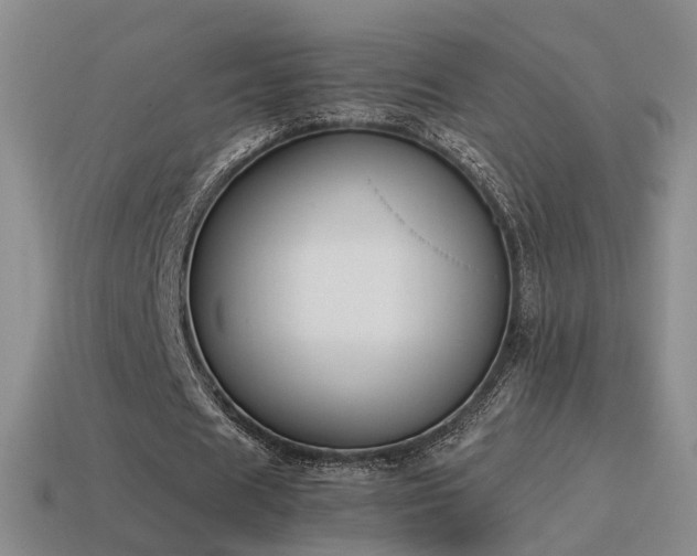 X0000115500625200911061328