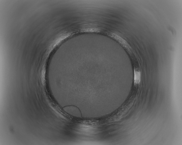X0000115500627200911061328