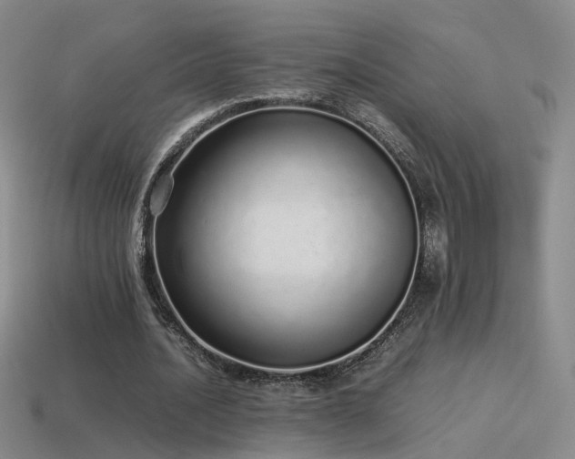 X0000115500628200911061328