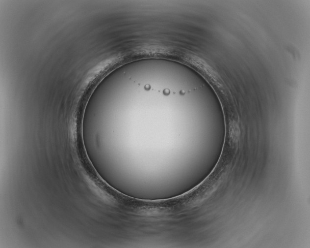 X0000115500629200911061328