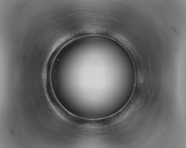 X0000115500630200911061328