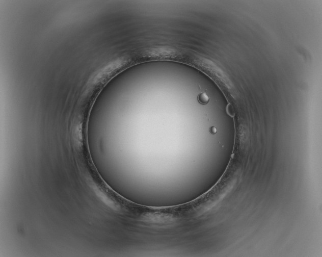 X0000115500633200911061328