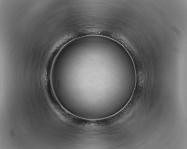 X0000115500634200911061328