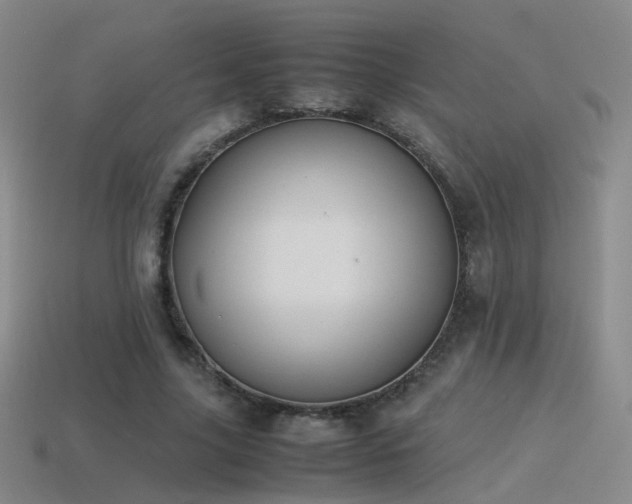 X0000115500635200911061328