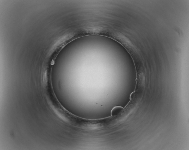 X0000115500638200911061328