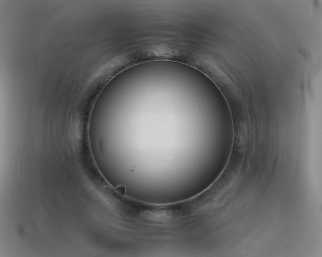 X0000115500639200911061328