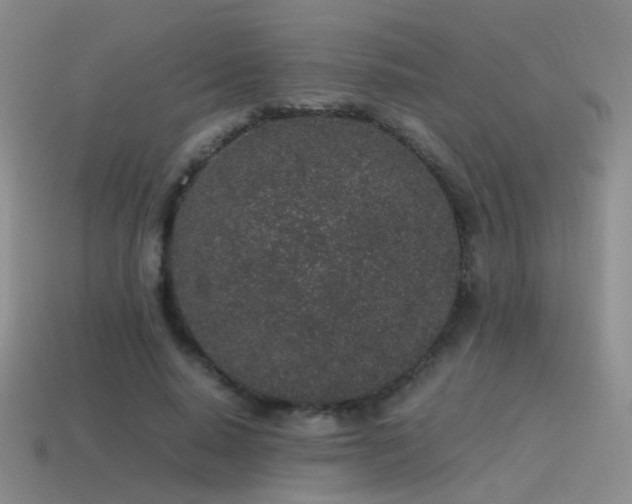 X0000115500640200911061328