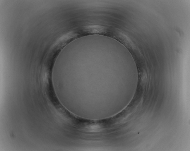 X0000115500643200911061328