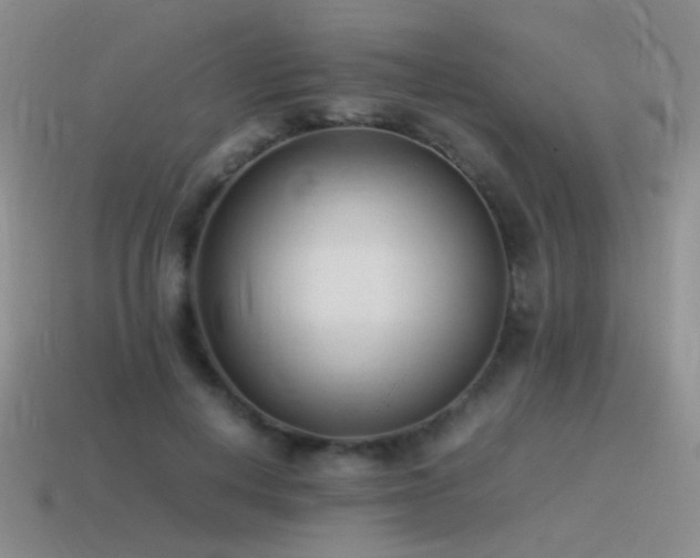 X0000115500648200911061328