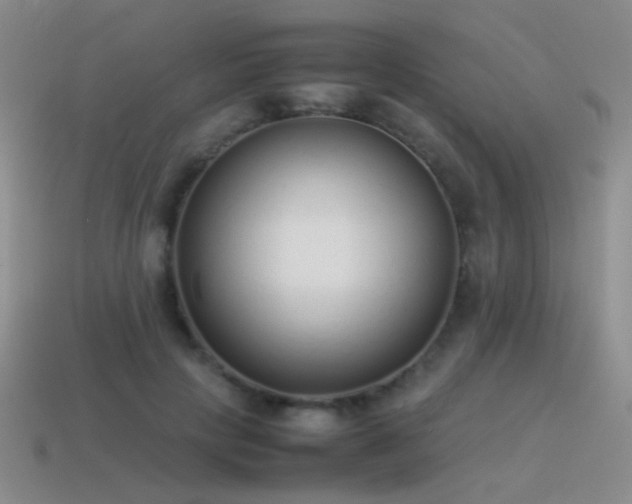 X0000115500649200911061328