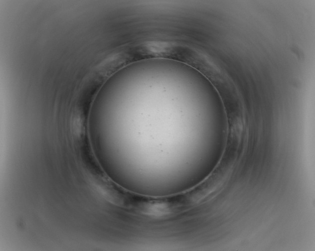 X0000115500651200911061328
