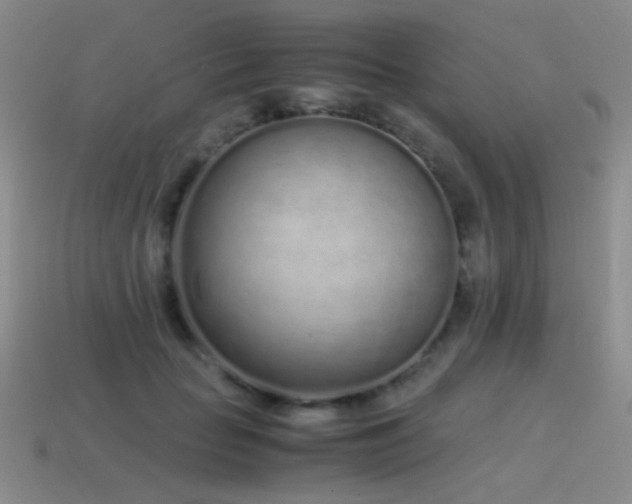 X0000115500653200911061328