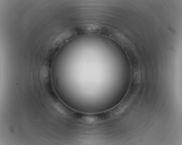 X0000115500654200911061328