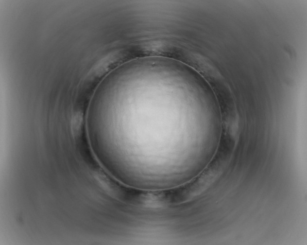 X0000115500660200911061328