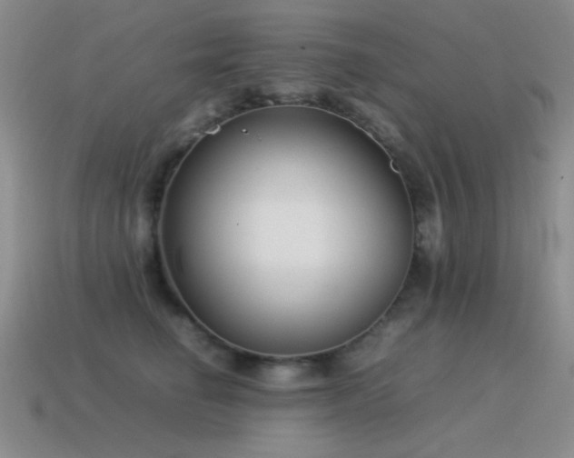 X0000115500662200911061328