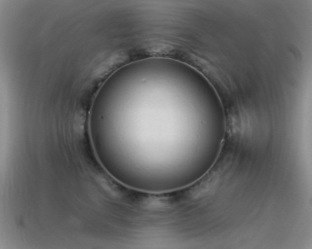 X0000115500664200911061328
