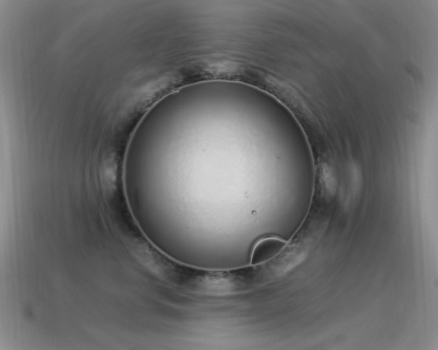 X0000115500668200911061328
