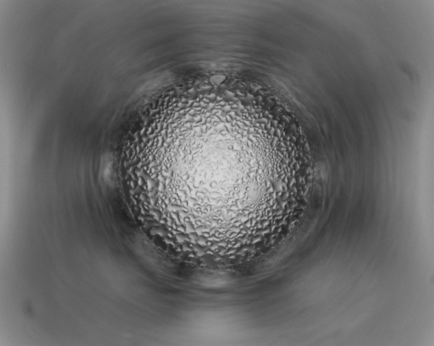 X0000115500671200911061328