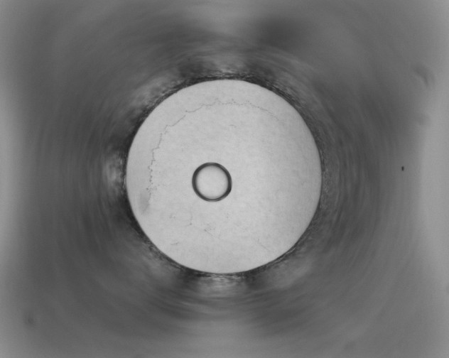 X0000115500672200911061328