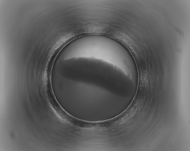 X0000115500674200911061328
