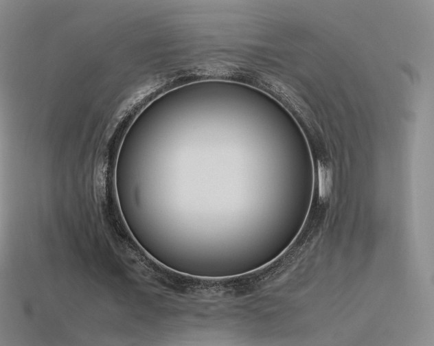 X0000115500675200911061328