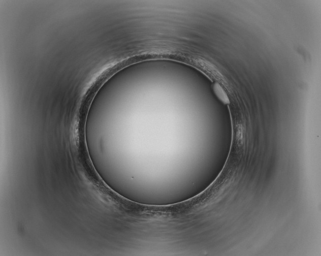 X0000115500676200911061328