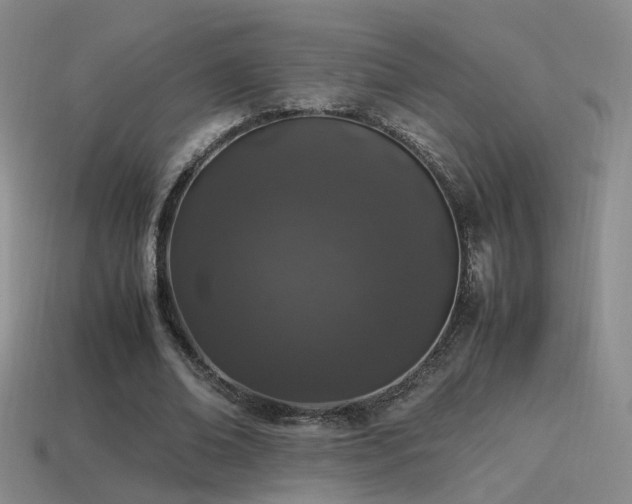 X0000115500678200911061328