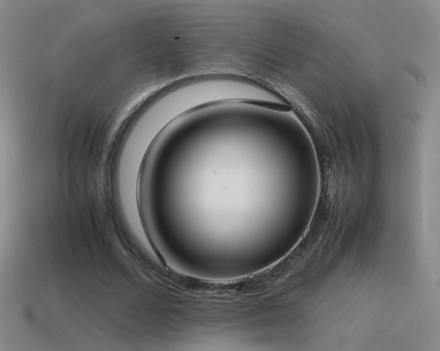 X0000115500680200911061328