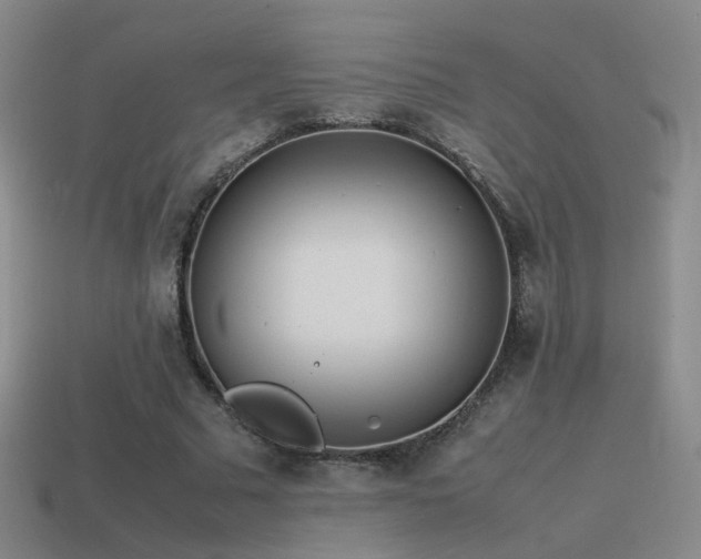 X0000115500681200911061328