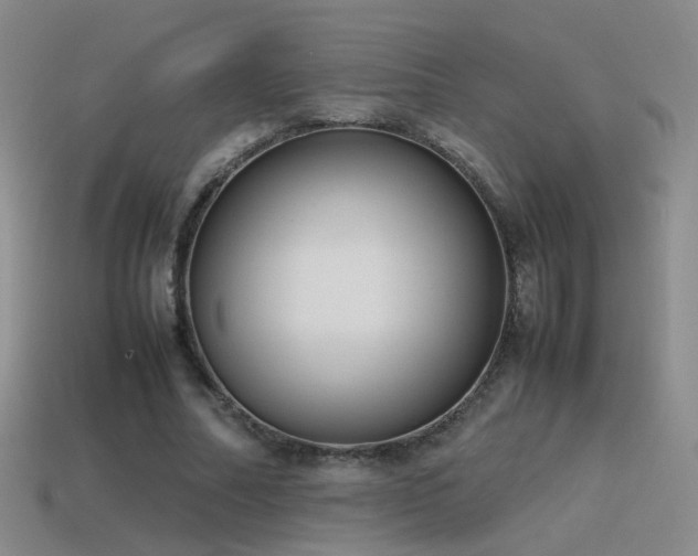 X0000115500682200911061328