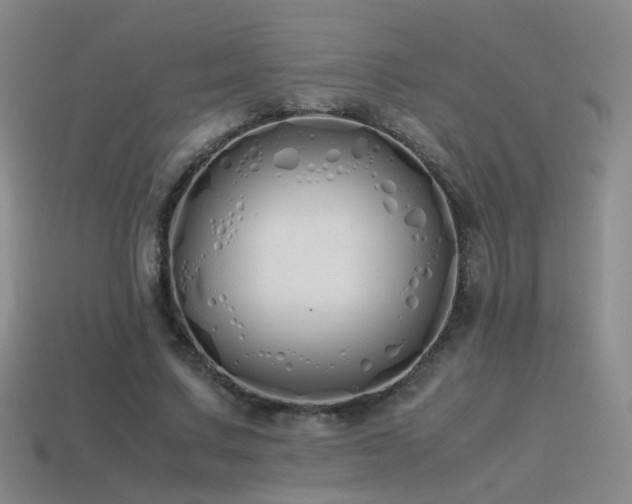 X0000115500683200911061328