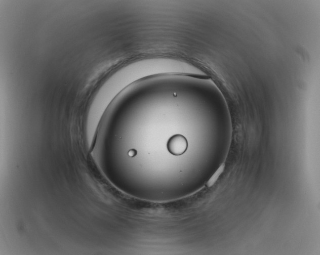 X0000115500688200911061328
