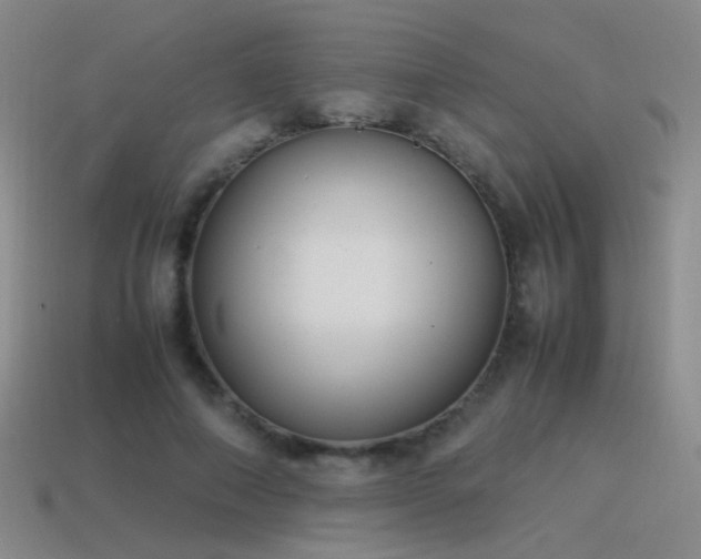 X0000115500690200911061328