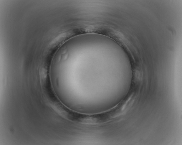 X0000115500691200911061328