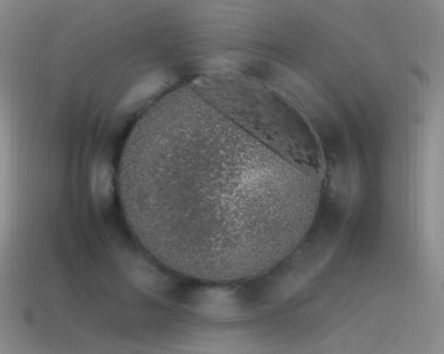 X0000115500692200911061328