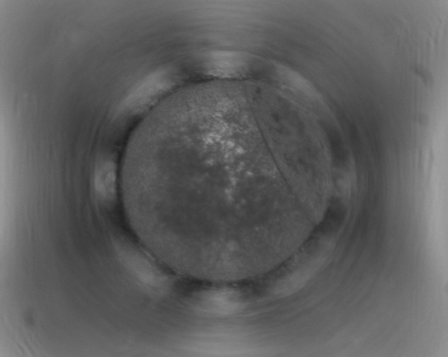 X0000115500696200911061327