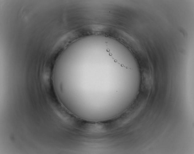X0000115500698200911061327