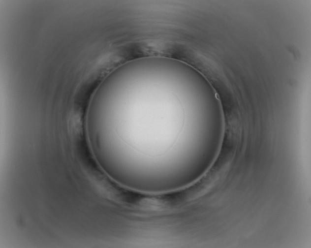X0000115500699200911061327