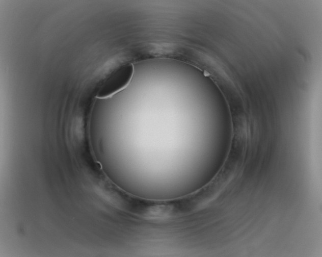 X0000115500700200911061327