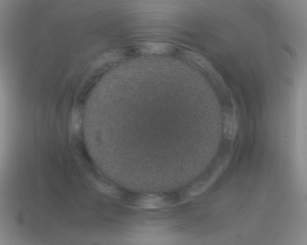 X0000115500701200911061327