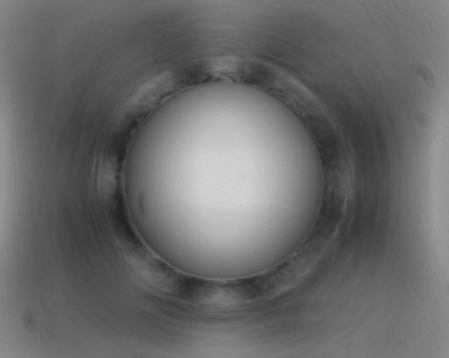 X0000115500702200911061327