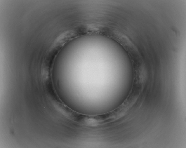 X0000115500706200911061327