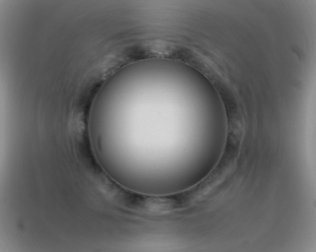 X0000115500707200911061327