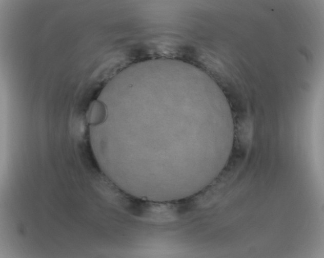 X0000115500709200911061327