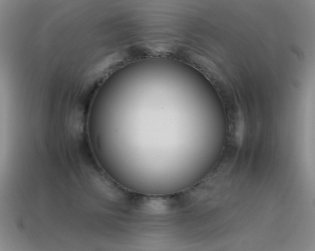 X0000115500710200911061327