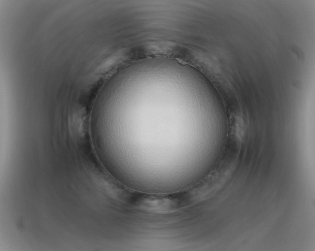 X0000115500712200911061327