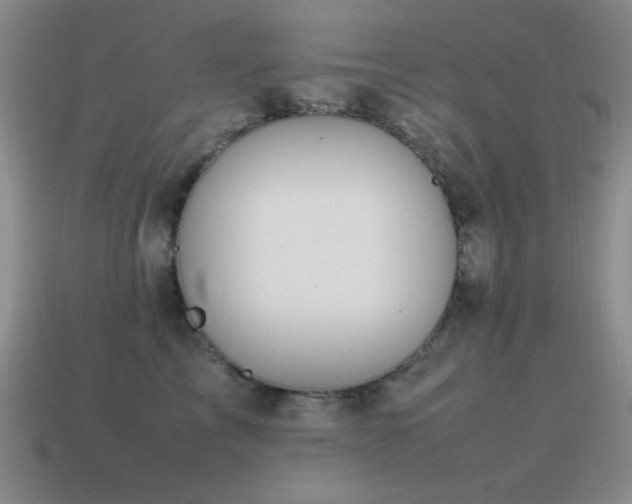 X0000115500713200911061327