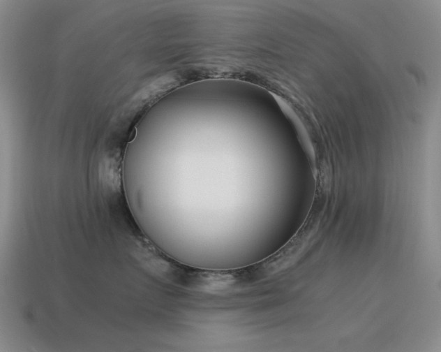 X0000115500719200911061327